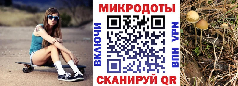 Галлюциногенные грибы прущие грибы  мега сайт  Тамбов 