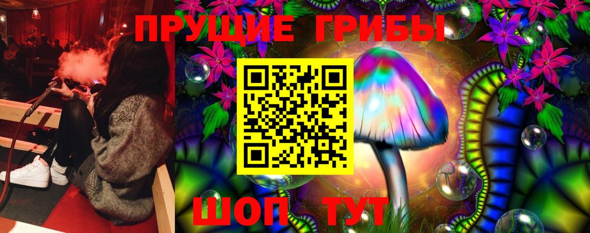 Псилоцибиновые грибы прущие грибы  Вход с VPN  Тамбов 