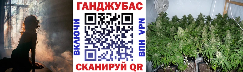 МАРИХУАНА сатива Тамбов